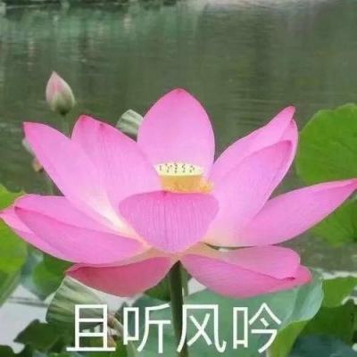 大圣之怒小米版下载